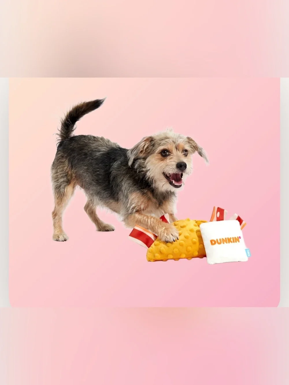 Dunkin x Barkbox- Wake-Up Wrap Plush Multi-Part Dog Toy- 2026